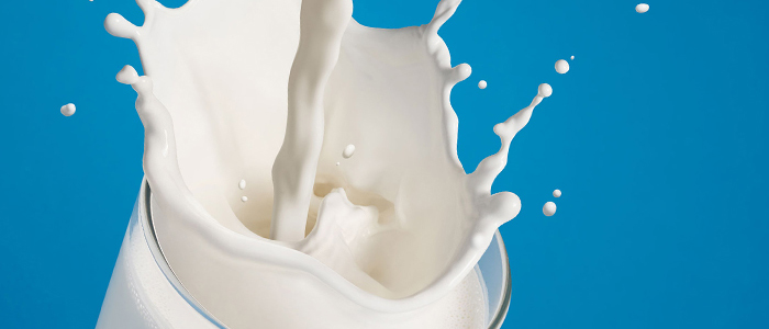 Milk Processing
